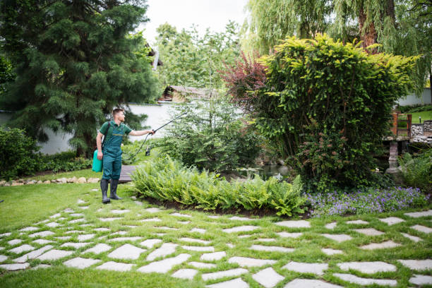 Best Local Pest Control Services  in Steiner Ranch, TX