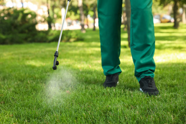 Best Flea Control Services  in Steiner Ranch, TX