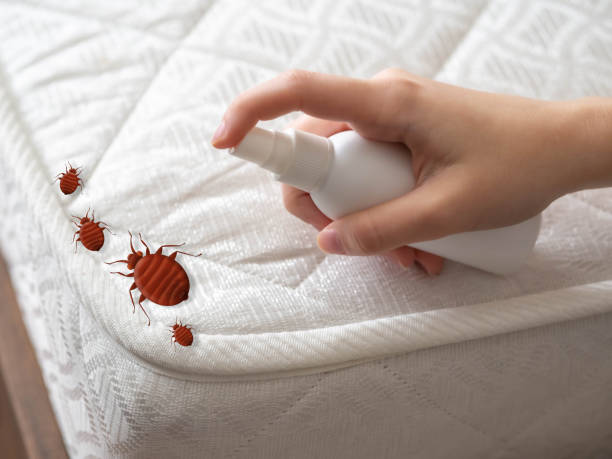 Steiner Ranch, TX Pest Control Company